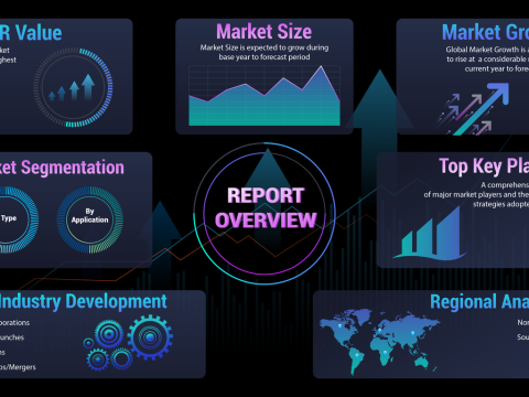 software-market